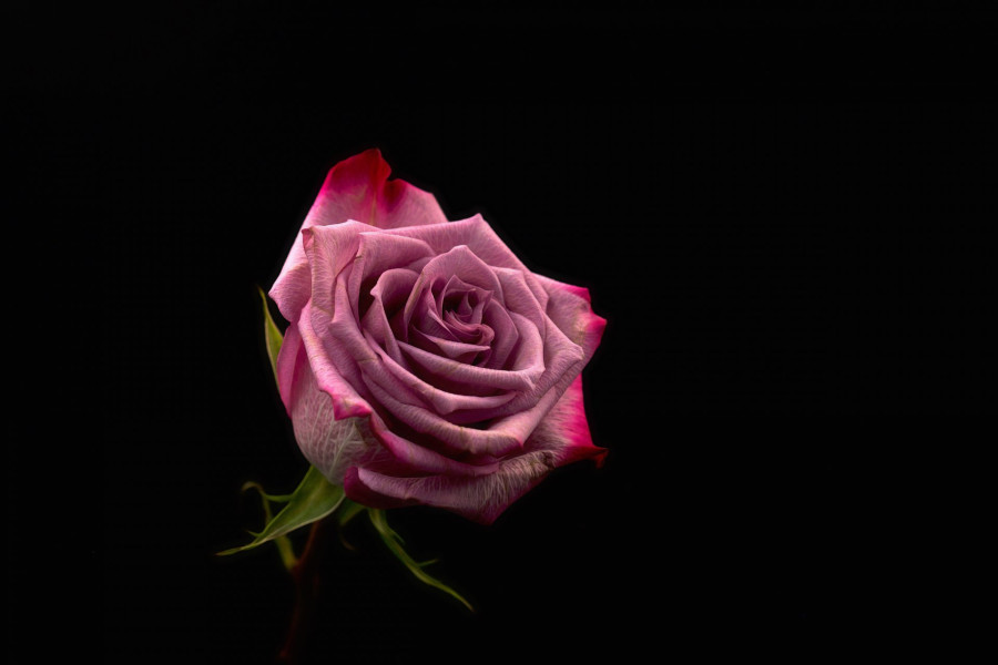 Photo by Carlos Quintero on Unsplash