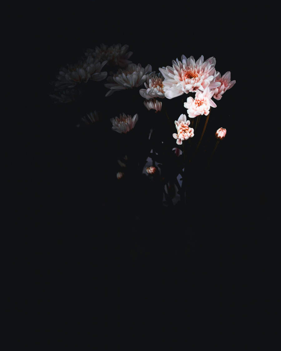 Photo by yousef alfuhigi on Unsplash