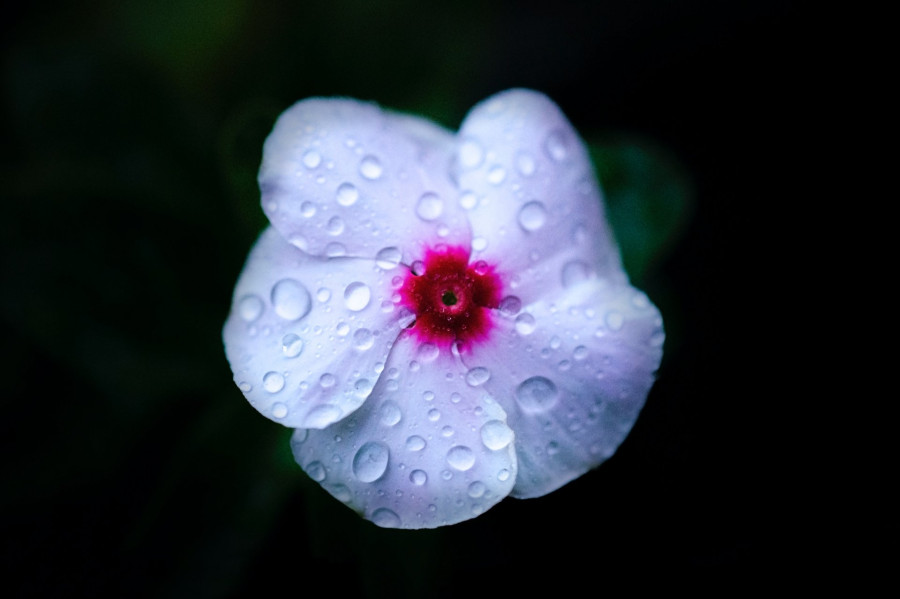 Photo by Gabriele Motter on Unsplash