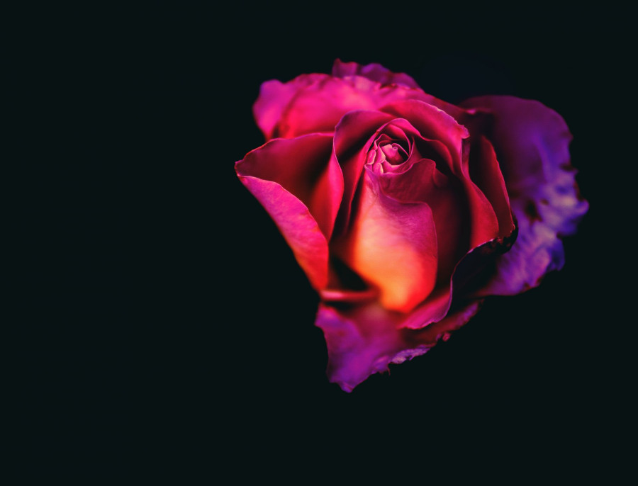 Photo by Simone Dalmeri on Unsplash