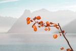 Photo by Simon Matzinger on Unsplash thumbnail