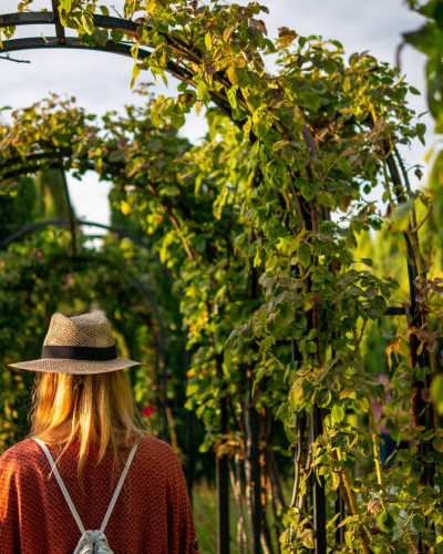 Exploring the Hidden Gardens of Imperial Marrakech